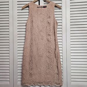 Vince Camuto • Blush Lace Dress
